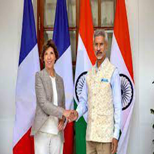 15 to 20 percent increase in the number of students going to France from India every year